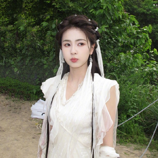 白鹿遭不明身份人员长时间骚扰 目前已报警